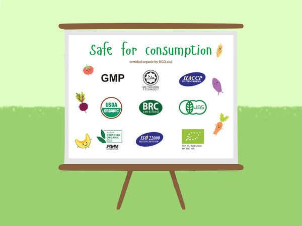 The Foodiepedia Organic Baby Noodle - Multi-Vege