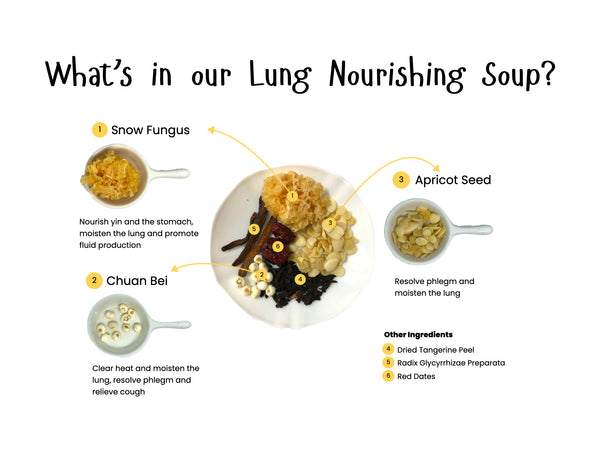 The Foodiepedia Kid’s TCM Herbal Soup - Lung Nourishing Soup 润肺汤